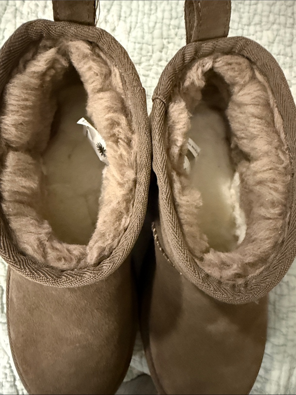 UGG Womans  Short Suede Boots in Brown with Shearling Trim - Picture 7 of 7